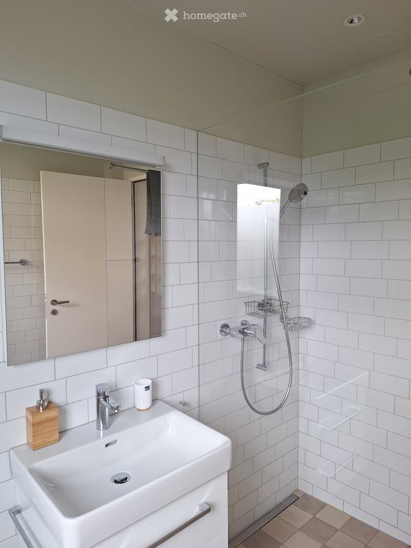 Modern bathroom with white tiled walls, a large sink with a chrome faucet, a shower with a glass enclosure, and a mirror above the sink.