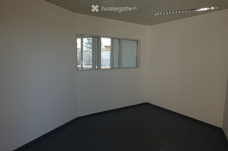 Empty room with grey carpeted floor, white walls, and large windows with metal frames. No furniture or equipment present.
