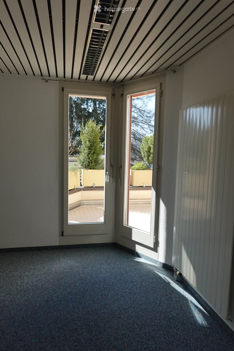 Empty room with carpeted floor, white walls, and two large windows leading to an outdoor area.