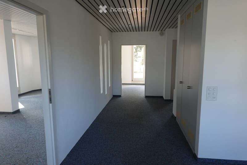 Empty hallway with white walls, carpeted floor, and grey cabinets on one side. Natural light streams in from the left and an open doorway at the end.