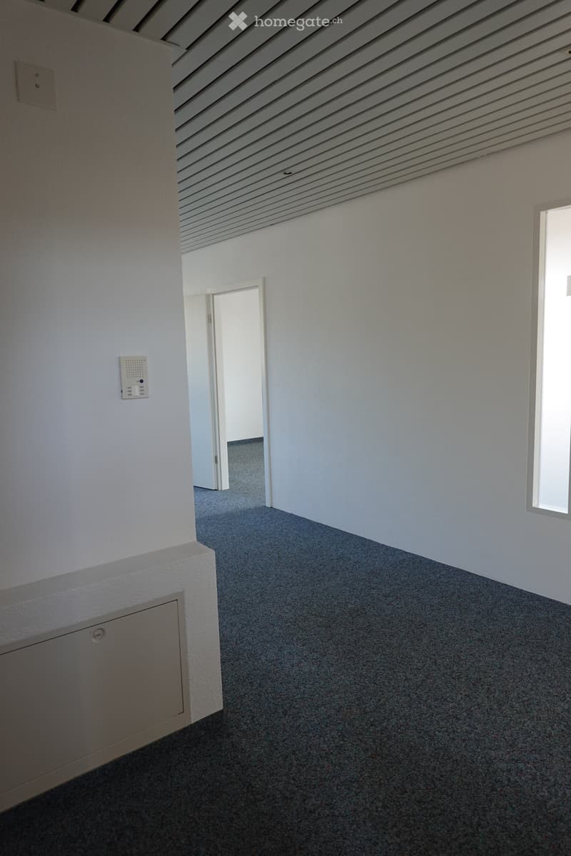 Empty hallway with grey carpeted floor, white walls, and a white door leading to another room.