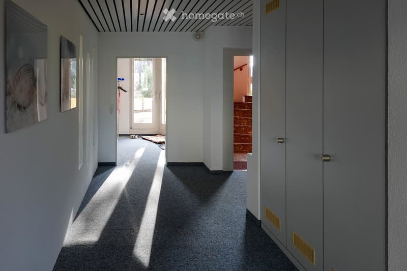 A modern hallway with grey walls, carpeted floor, and natural light streaming in from an open doorway. Features include a coat rack, a small rug, and a staircase leading upwards.