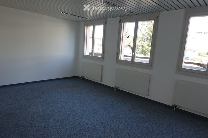 Empty room with white walls, carpeted floor, and multiple windows with white frames. Radiators are visible along the walls.