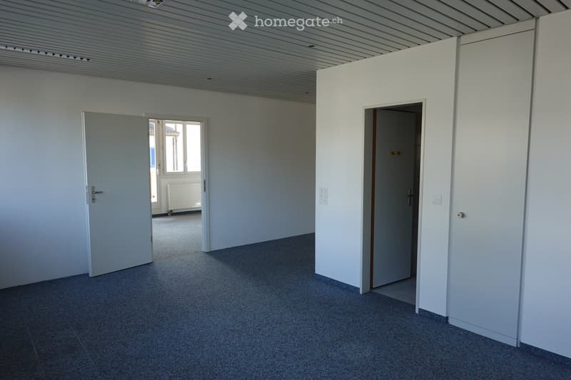 Empty room with white walls, grey carpeted floor, and two doors leading to other spaces. One door opens to a windowed area with a radiator visible.