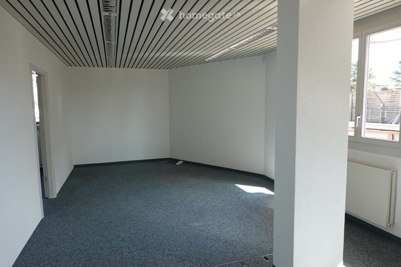 Empty room with white walls, grey carpeted floor, and large windows allowing natural light. No furniture or equipment is present.