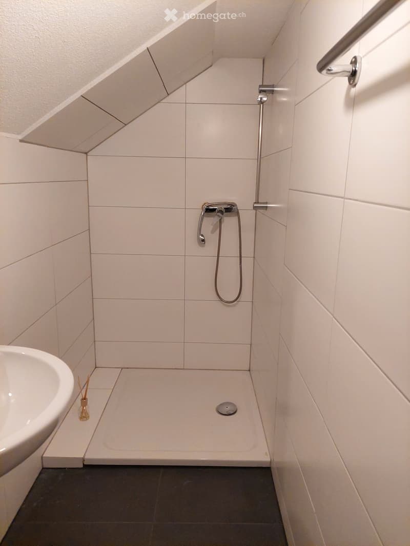 Modern bathroom with a white tiled shower area, a bathtub, a handheld showerhead, and a handrail for safety.
