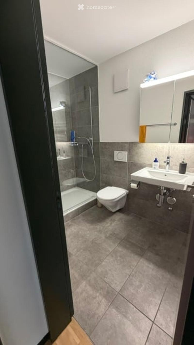 Modern bathroom with grey tiles, white toilet, sink with mirror, and glass-enclosed shower area.
