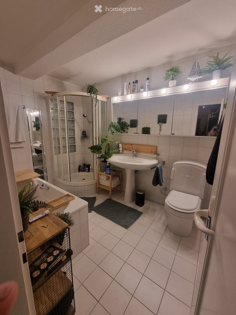 Modern bathroom with a bathtub, toilet, sink, mirror, and shower. Features include a large mirror with built-in lighting, a wooden shelf with towels, and decorative plants.