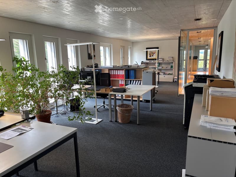 Modern office space with large windows, white tables, chairs, potted plants, filing cabinets, and office equipment.