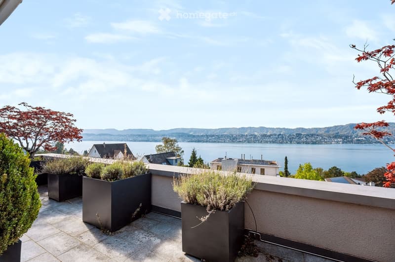 A modern rooftop terrace with a low wall, potted plants, and a scenic view of a lake and distant mountains.