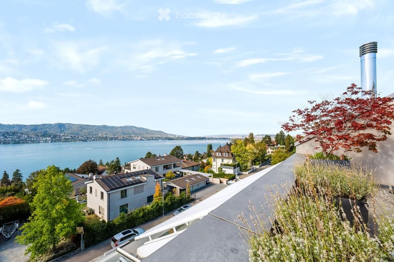 A scenic view of a residential area overlooking a lake and distant mountains, with houses, trees, and parked cars visible.