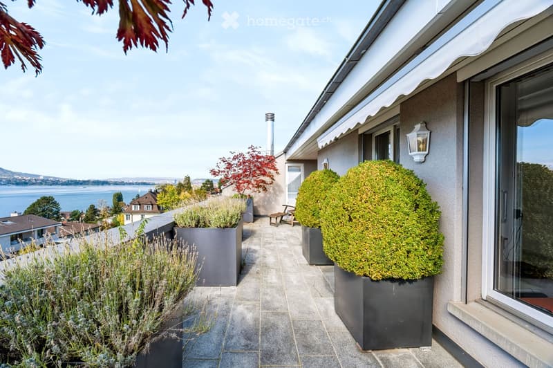 A modern rooftop terrace with a view of a lake and distant mountains, featuring potted plants, a small seating area, and a sleek design.