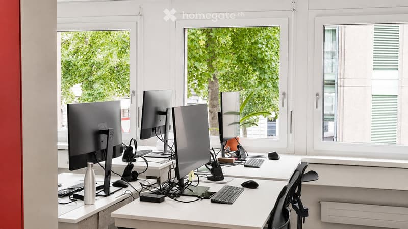 Modern office space with multiple desks, monitors, keyboards, mice, and chairs arranged near large windows with greenery visible outside.