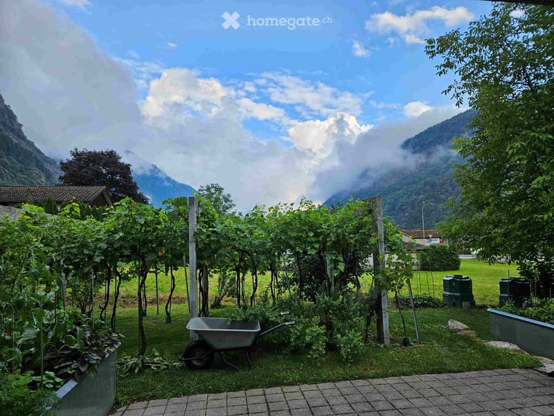 Garden with vines, wheelbarrow, and scenic mountain backdrop.