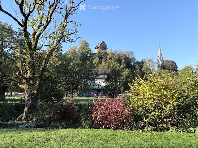 A well-maintained garden with lush greenery, trees, shrubs, and a view of a historic building with a tower and a church spire in the background.