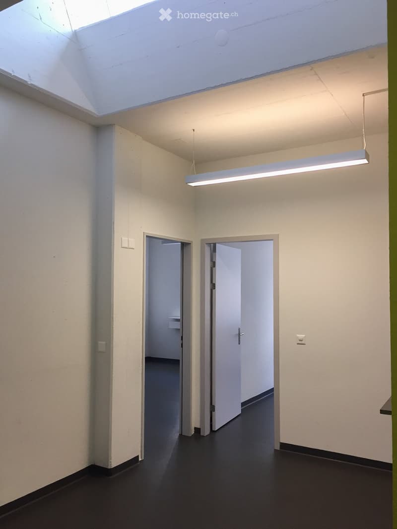 Empty room with white walls, black floor, two open doors leading to other spaces, and a single hanging light fixture.