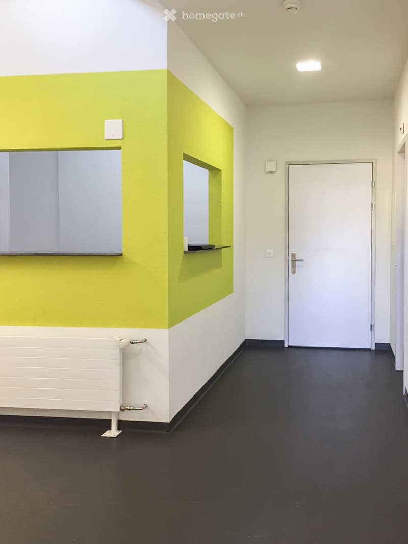 Modern hallway with white and green walls, black flooring, a white radiator, a small shelf, and a closed door.