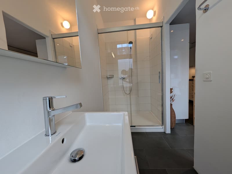Modern bathroom with a white sink, chrome faucet, large mirror, and a glass-enclosed shower with a modern showerhead. The floor is dark tiled, and there is a small vase with dried plants near the shower entrance.