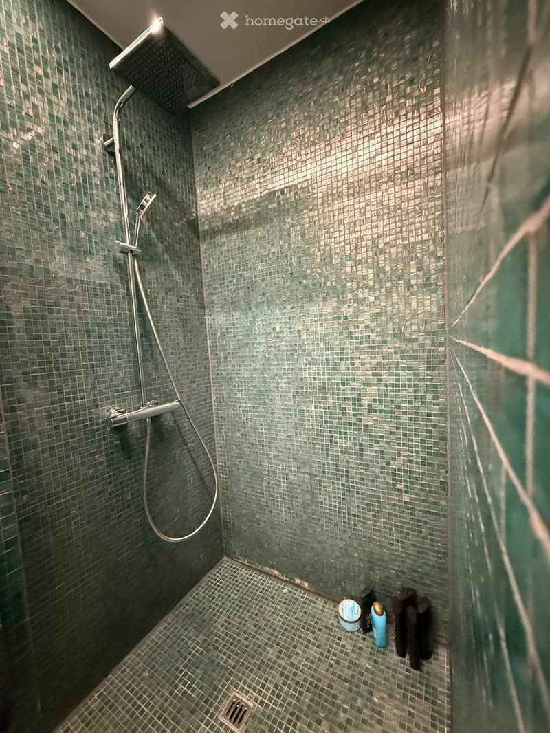 Shower area with green mosaic tiles, a handheld showerhead, and a few toiletries on the floor.