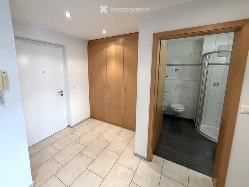 Hallway with tiled floor, light wooden wardrobe, and an open door leading to a modern bathroom with a glass-enclosed shower and toilet.