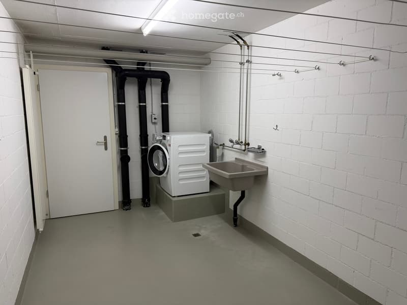 Utility room with a washing machine, sink, and exposed pipes.