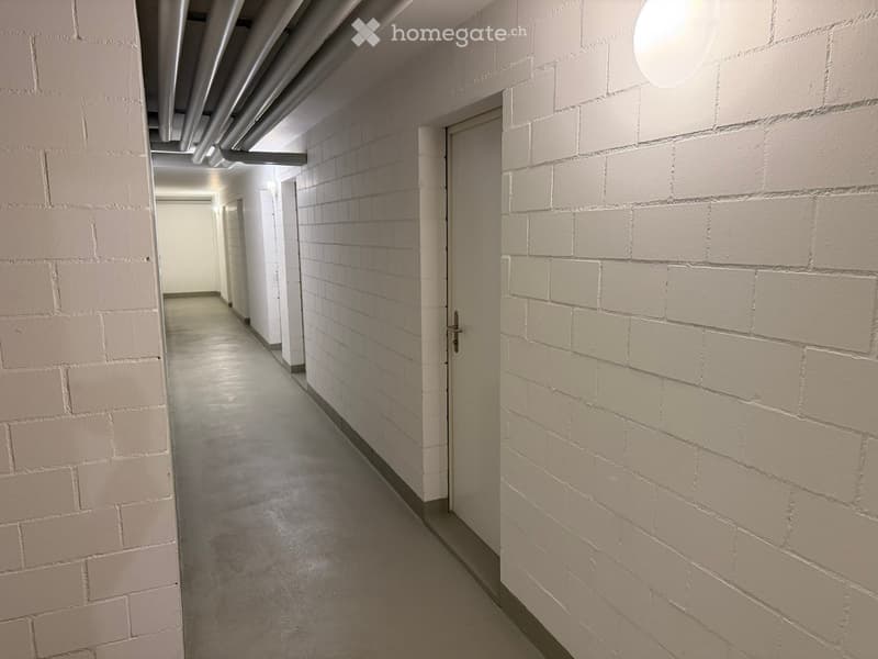 A narrow hallway with light grey brick walls, a concrete floor, and a closed door at the end.
