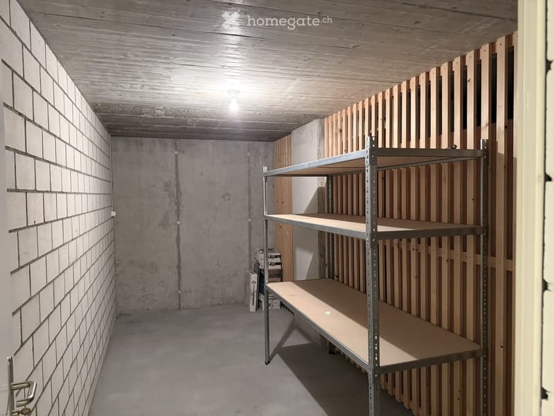 Empty room with exposed brick wall, concrete floor, and metal shelving unit. Wooden paneling on one wall and a light fixture on the ceiling.