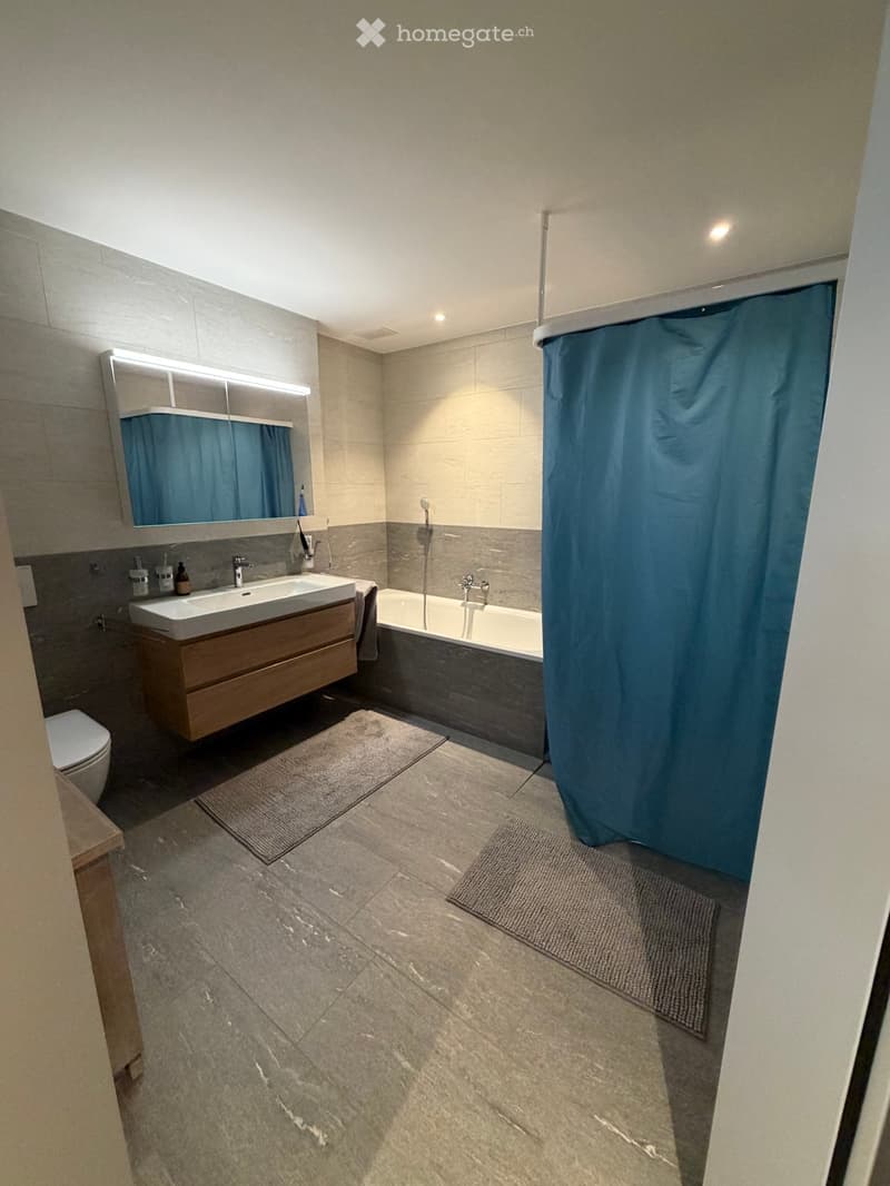 Modern bathroom with a sink, toilet, bathtub, and shower curtain. Features a large mirror with built-in lighting, a wooden bathroom cabinet, and two rugs on the floor.