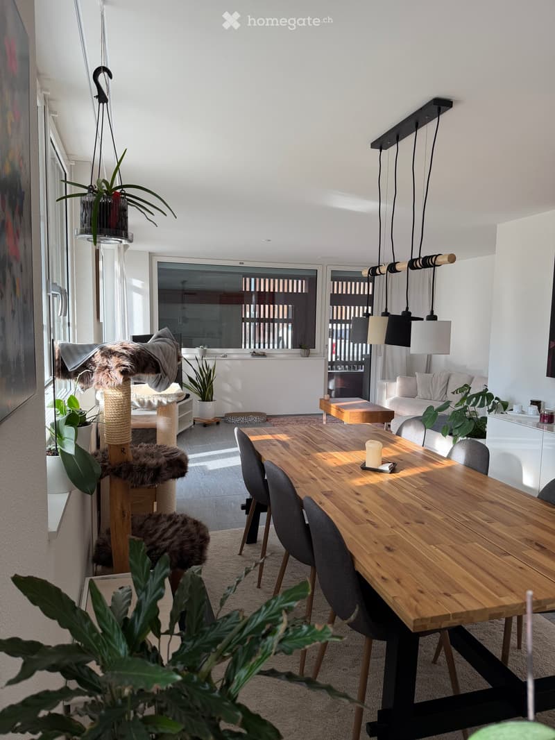 Bright, modern living and dining area with a wooden dining table, grey chairs, a white sofa, a cat tree, and several potted plants. Large windows provide natural light.