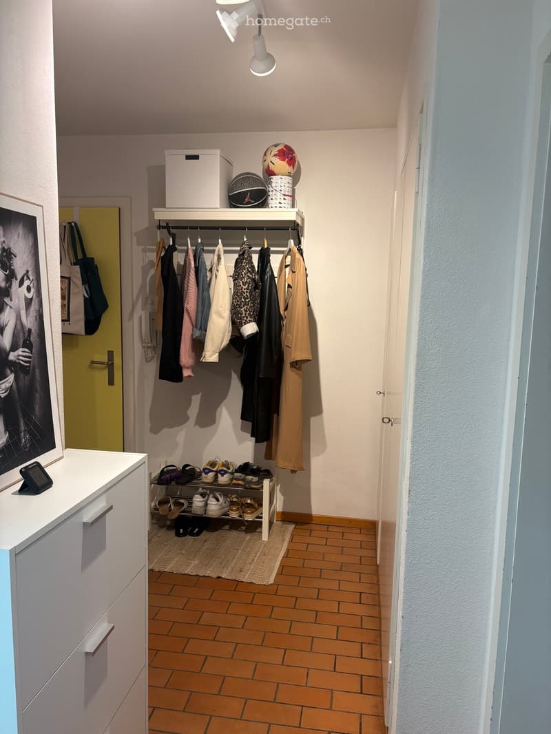 Hallway with wooden tiled floor, coat rack with hanging clothes, shoe rack with multiple pairs of shoes, small shelf with sports balls, and a framed picture on the wall.