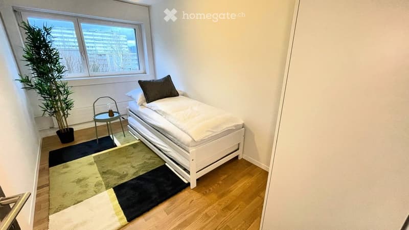 Cozy, compact bedroom with a single bed, a small round table with a chair, a potted plant, and a colorful rug on the wooden floor.