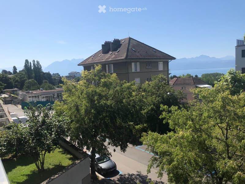 Balcony view of a residential area with trees, parked car, and distant mountains and lake.