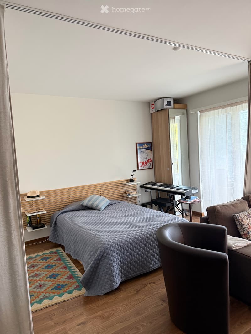 Magnifique appartement de 1.5 pièce avec terrasse plein sud et vue sur le lac (5)