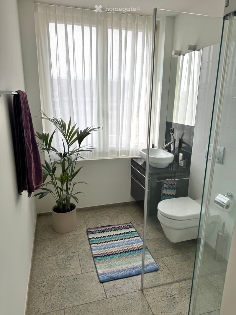 Modern bathroom with a toilet, sink, mirror, and a potted plant near the window. Features a glass shower enclosure and a colorful bathroom rug on the floor.