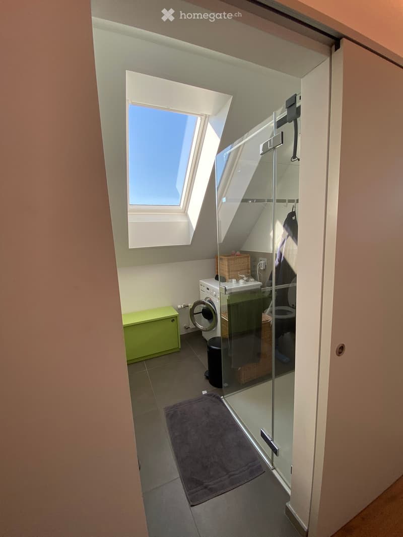 Modern bathroom with a skylight window, glass shower enclosure, sink, toilet, washing machine, and wicker baskets.