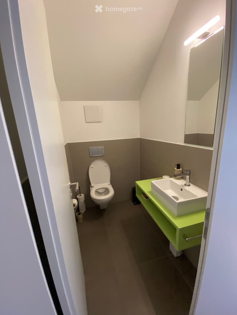 Modern bathroom with a toilet, sink, and mirror. The sink is placed on a bright green vanity with a chrome faucet. Toilet paper and a soap dispenser are visible.