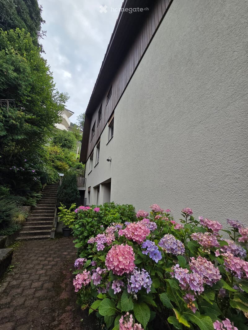 A garden area with vibrant pink and purple hydrangeas in full bloom, a brick pathway leading to a staircase, and a modern house with white walls and wooden accents visible in the background.