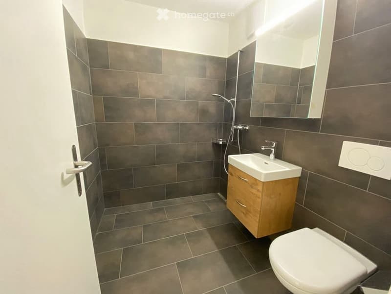 Modern bathroom with dark grey tiles, a white sink with wooden cabinet, a toilet, and a mirror above the sink.