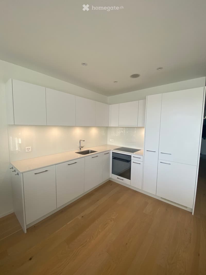 Modern kitchen with white cabinets, wooden flooring, and built-in appliances including a sink and oven.