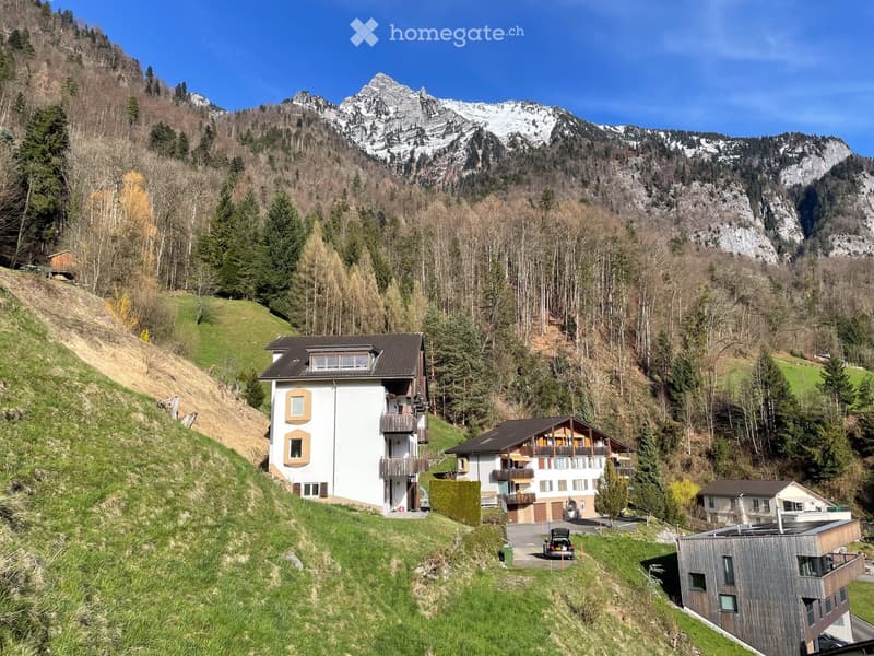 A cluster of houses on a hillside with a scenic mountain backdrop, featuring a mix of modern and traditional architecture, surrounded by trees and greenery.
