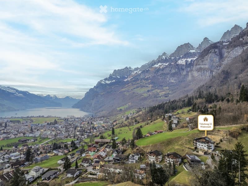 Aerial view of a town nestled in a valley surrounded by snow-capped mountains and a lake, with scattered houses and green fields.