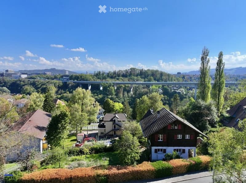 Aerial view of a residential area with multiple houses, surrounded by lush greenery and trees, with a bridge visible in the background.