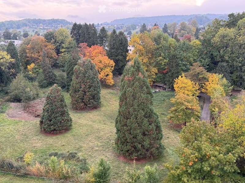 Aerial view of a landscaped garden with tall, conical evergreen trees, a mix of deciduous trees with autumn foliage, a small shed, and a winding pathway.