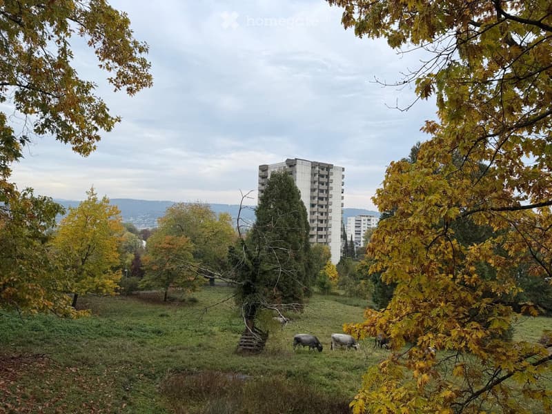 A grassy field with trees and a modern apartment building in the background, featuring grazing animals.