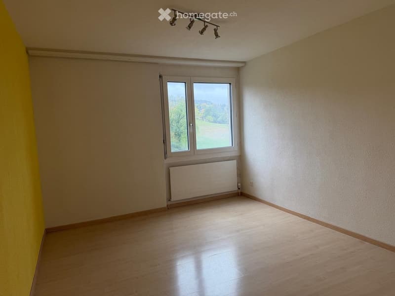 Empty room with wooden flooring, white walls, a large window with a view, and a radiator below the window.
