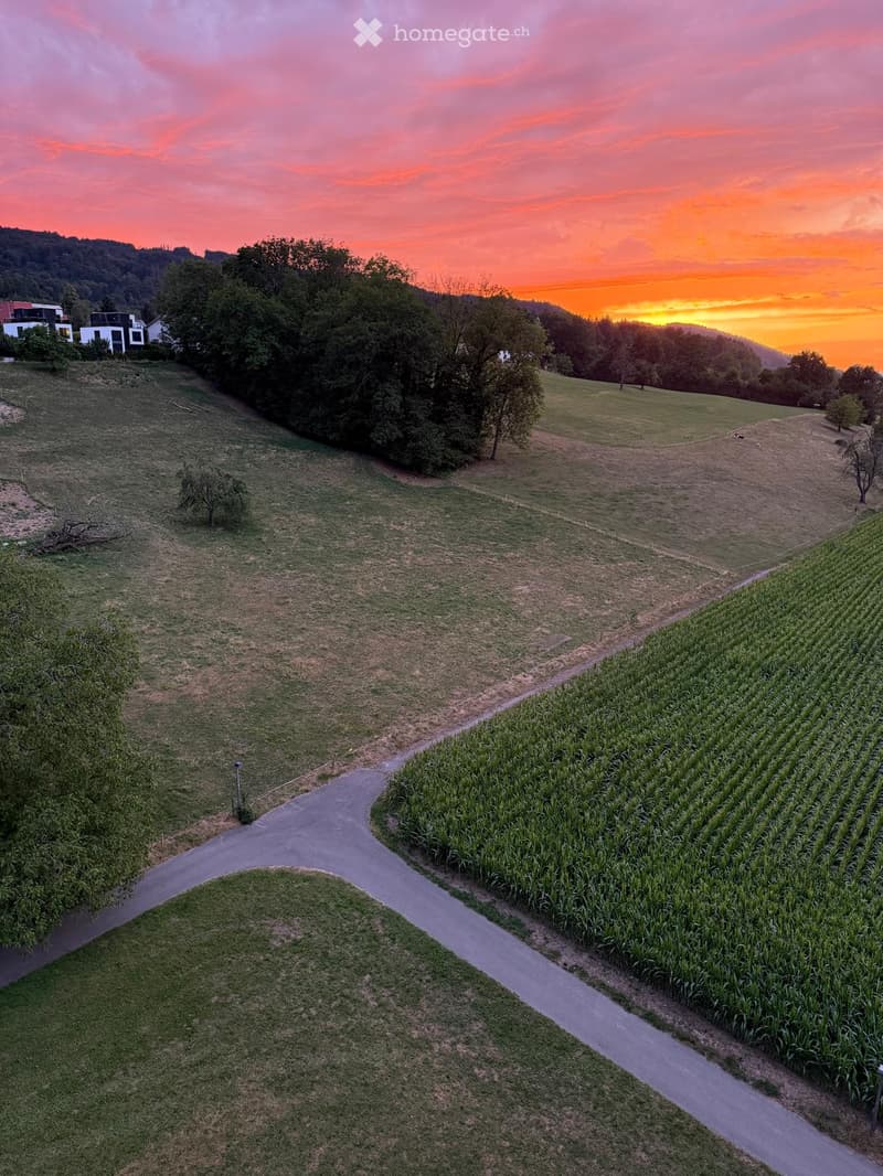 Aerial view of a rural landscape at sunset, featuring a cornfield, grassy areas, trees, and a winding driveway leading to a house in the distance.