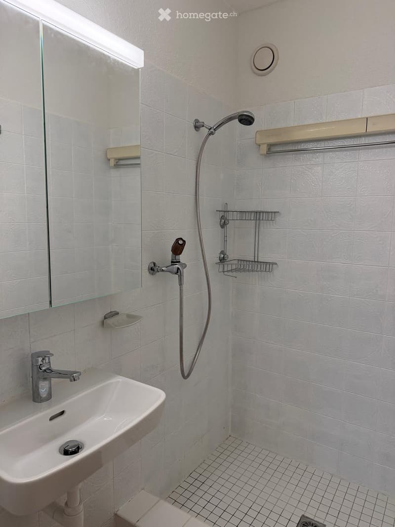 Modern bathroom with a white sink, chrome faucet, large mirror, and a shower area with a handheld showerhead and towel rack.