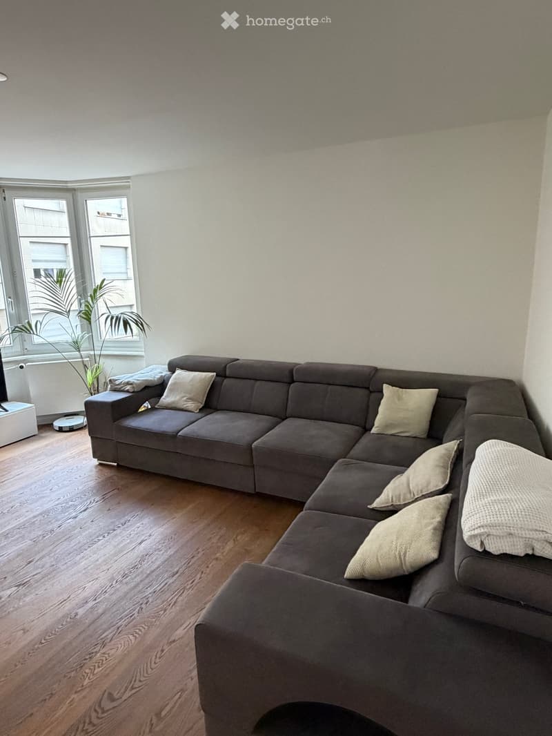 Modern living room with a large sectional sofa, multiple pillows, a small table, and a potted plant near the window.