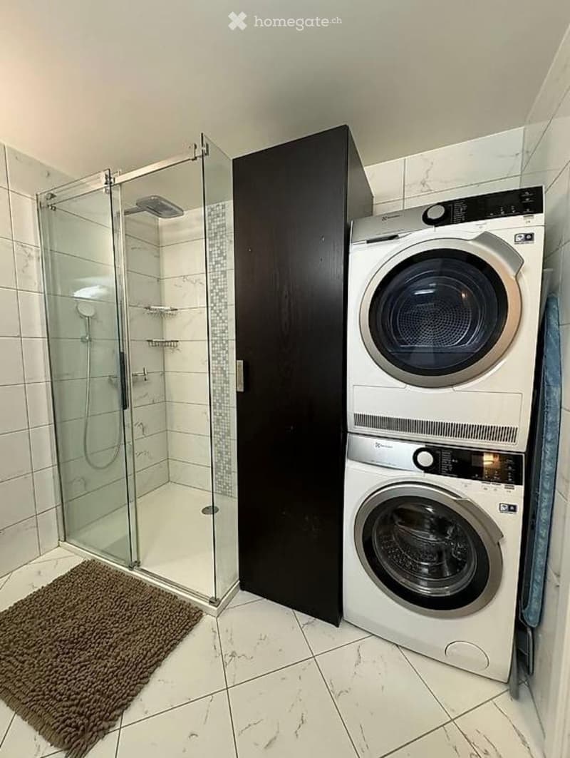 Modern bathroom with a glass-enclosed shower, a washing machine, and a dark-colored bathroom cabinet.