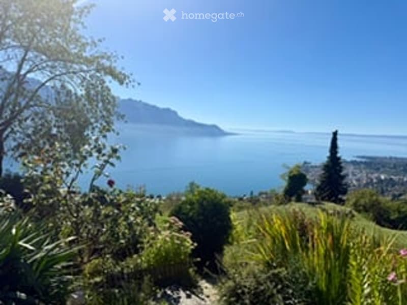 A scenic garden area overlooking a vast lake and distant mountains, with lush greenery and a clear blue sky.